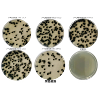 产气荚膜梭菌――TSN琼脂