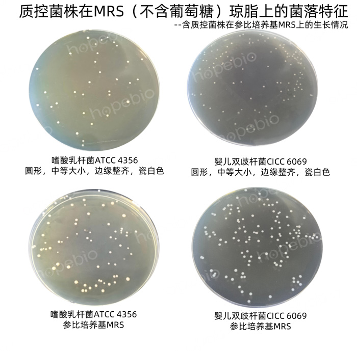 ��ͬ�ʿؾ�����MRS