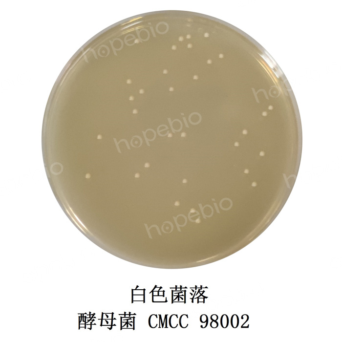 ��ĸ������ѿ֭ţ��൰������֬ƽ���ϵ�΢�����ʿؽ��