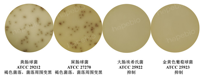 �ʿؾ����ڵ�����-��Ҷ����֬�������ϵ��������