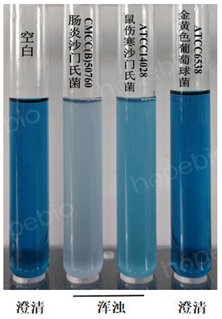 �ʿؾ�����RV