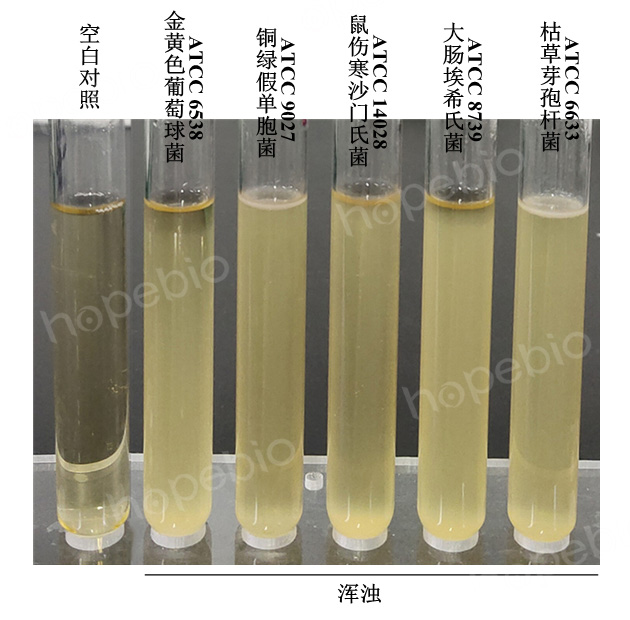 �ʿؾ����ڴ��ҵ�����������������SCDM���ϵ��������