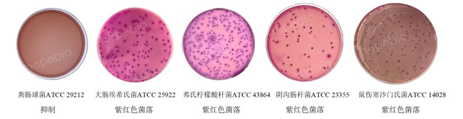 ��ͬ�ʿؾ�����VRBA�������ϵ��������