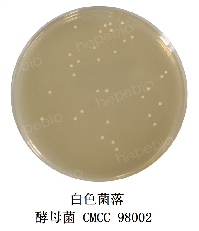 ��ĸ������ѿ֭ţ��൰������֬ƽ���ϵ�΢�����ʿؽ��