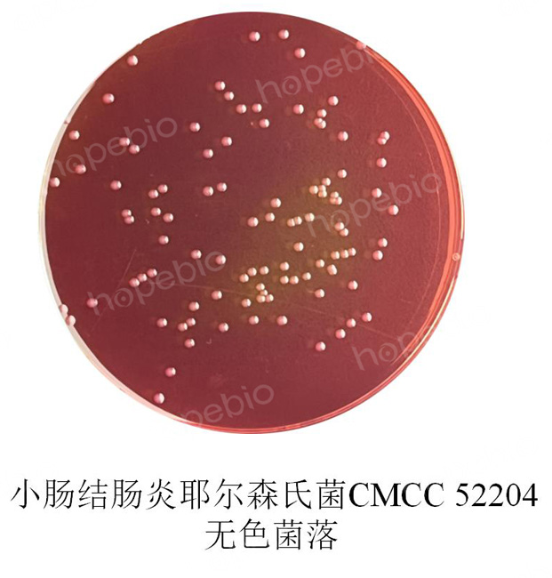 �ʿؾ�����SSDC�������ϵ��������