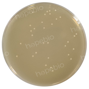 ��ĸ������ѿ֭ţ��൰������֬ƽ���ϵ�΢�����ʿؽ��