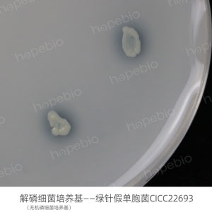 ϸ--ٵCICC22693