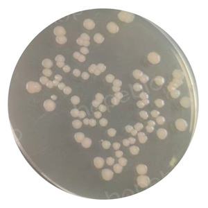 ��ͬ�ʿؾ����ڸ���Letheen��֬�������������������