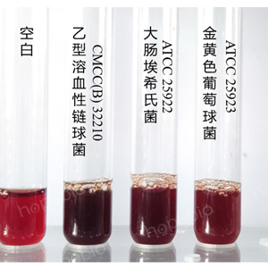 �ʿؾ�����ƥ������������B���������