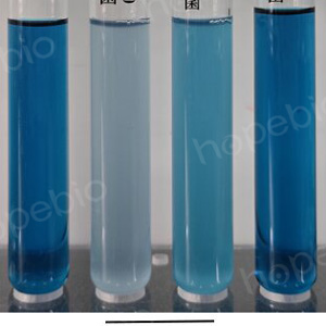 �ʿؾ�����RV