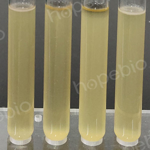 �ʿؾ����ڴ��ҵ�����������������SCDM���ϵ��������