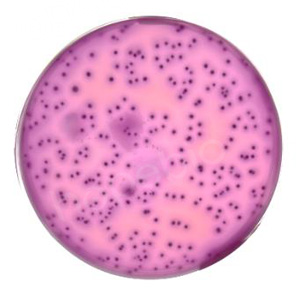 ��ͬ�ʿؾ�����VRBA�������ϵ��������