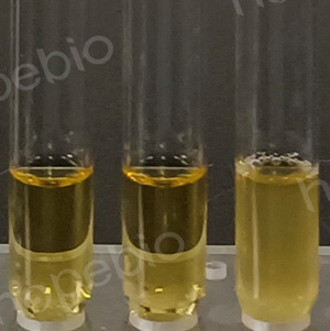 �ʿؾ�����pH9.6�����������ϵ��������